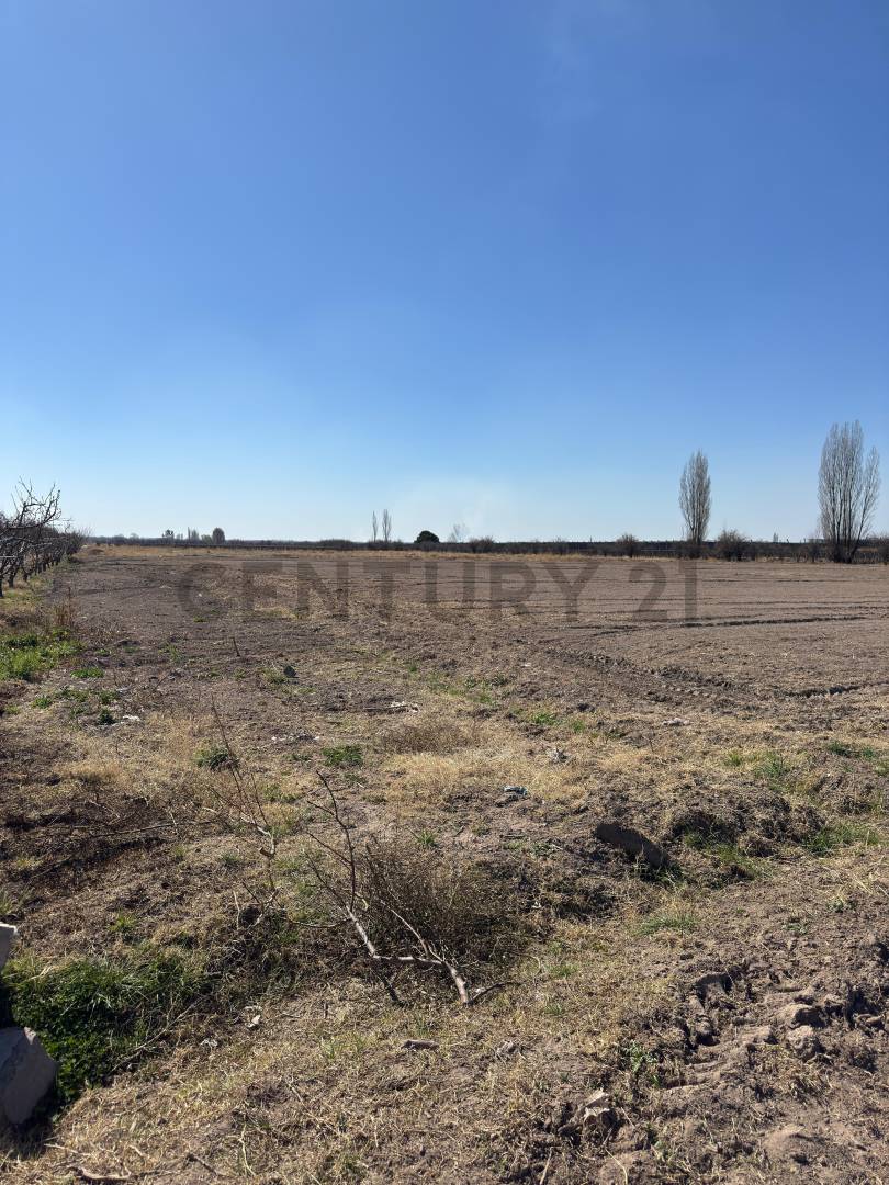 Casa Quinta en Venta en Tunuyan, Mendoza