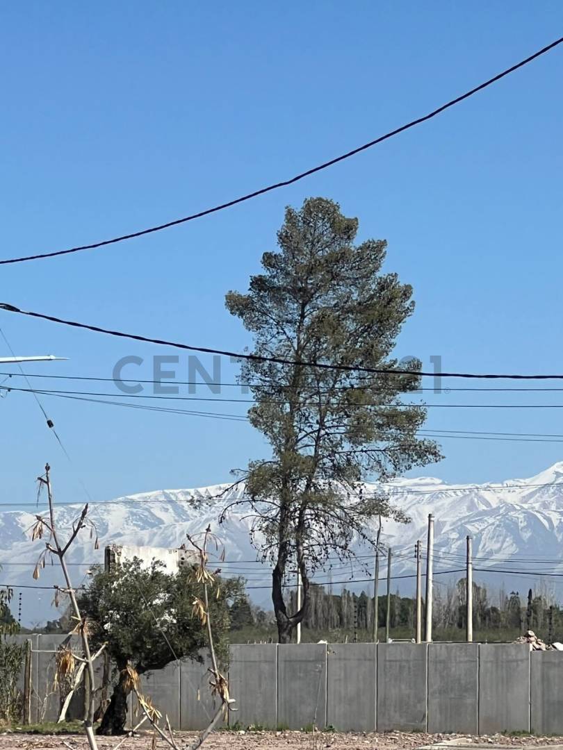 Terreno en Venta en Maipu, Mendoza