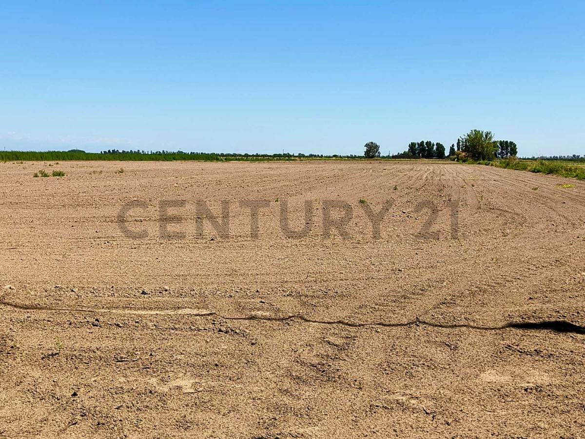 Campo en Venta en San Martin, Mendoza