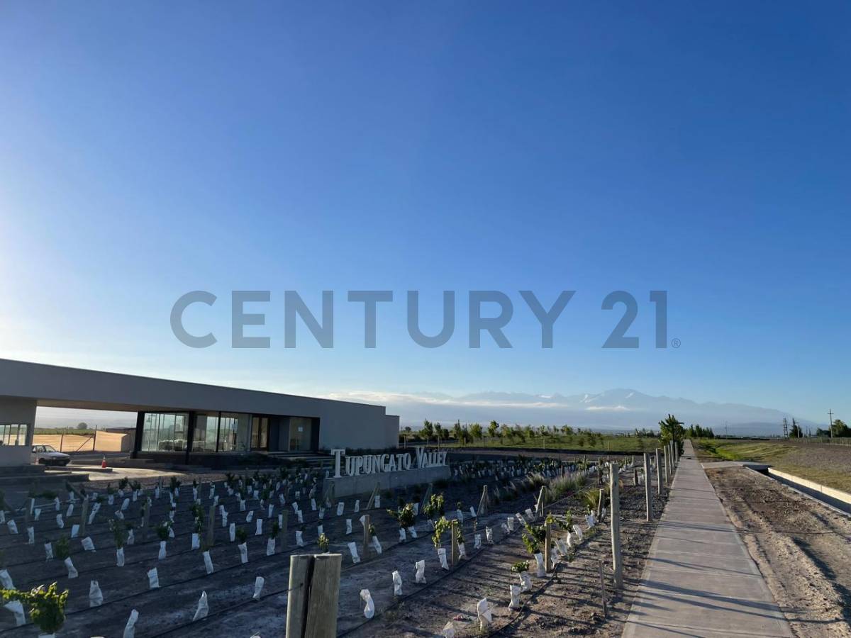 Terreno en Venta en Tupungato, Mendoza