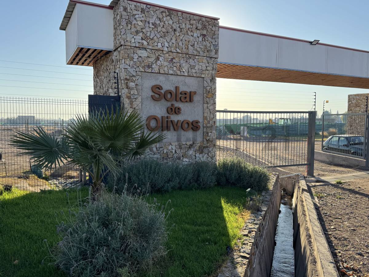 Terreno en Venta en Maipu, Mendoza