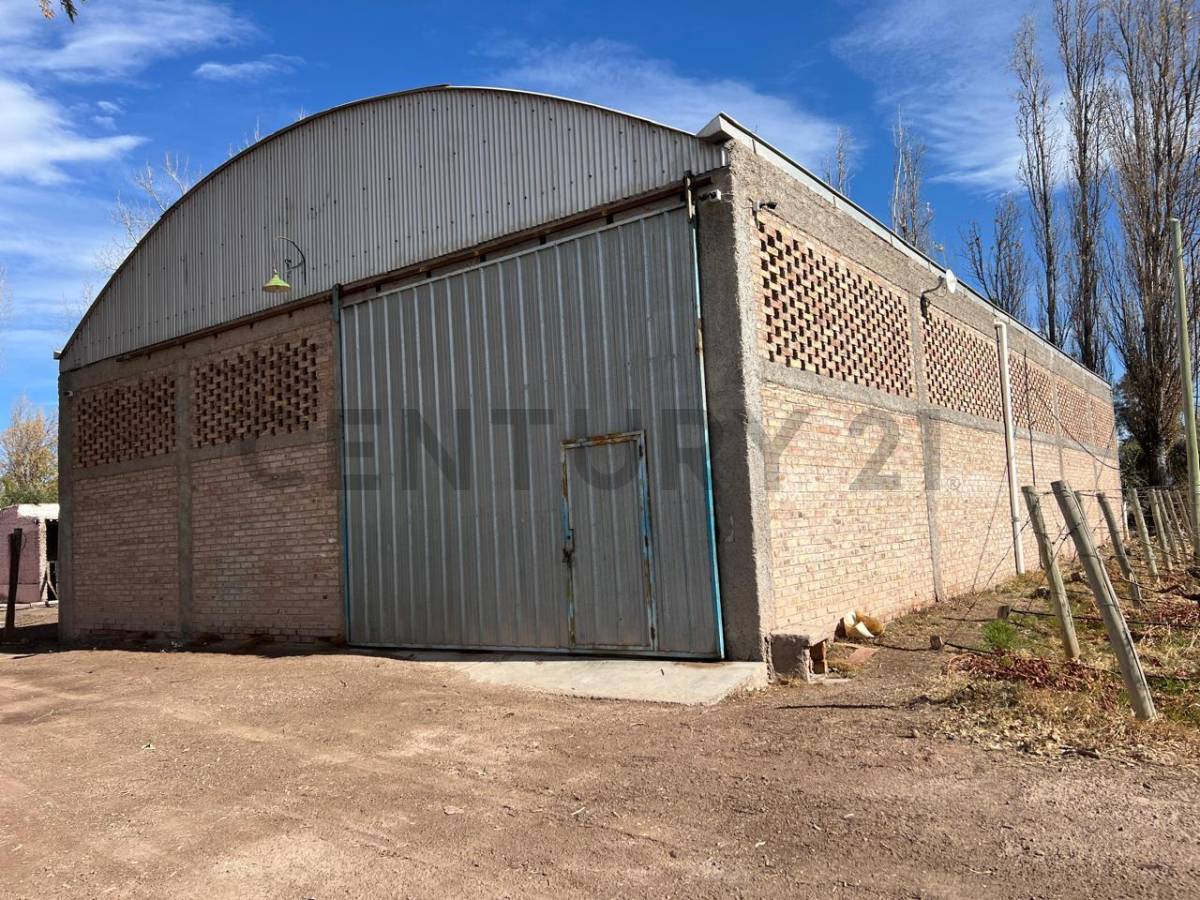 Campo en Venta en Lavalle, Mendoza