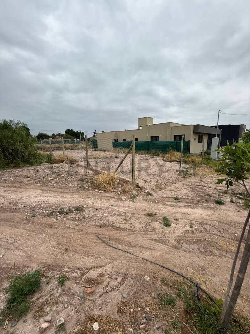 Terreno en Venta en Lujan de Cuyo, Mendoza