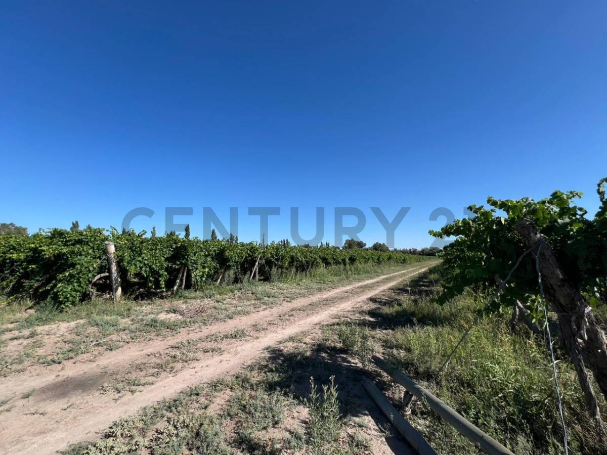 Campo en Venta en 25 de Mayo, San Juan