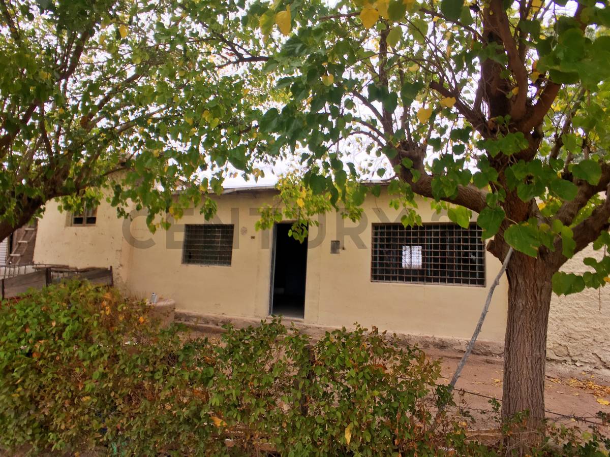 Terreno en Venta en Lavalle, Mendoza