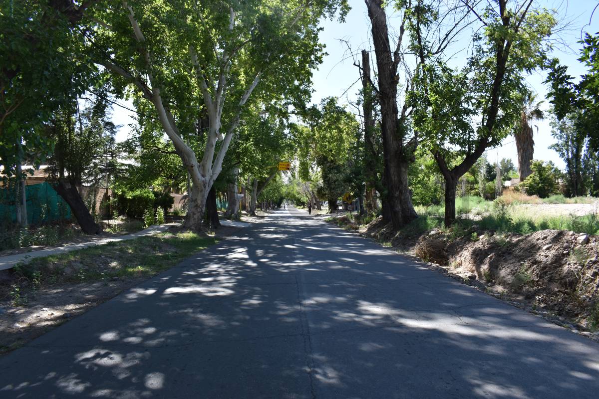 Terreno en Venta en Maipu, Mendoza