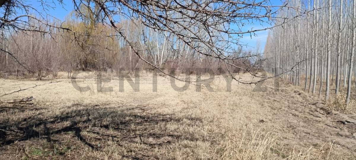 Terreno en Venta en Tunuyan, Mendoza