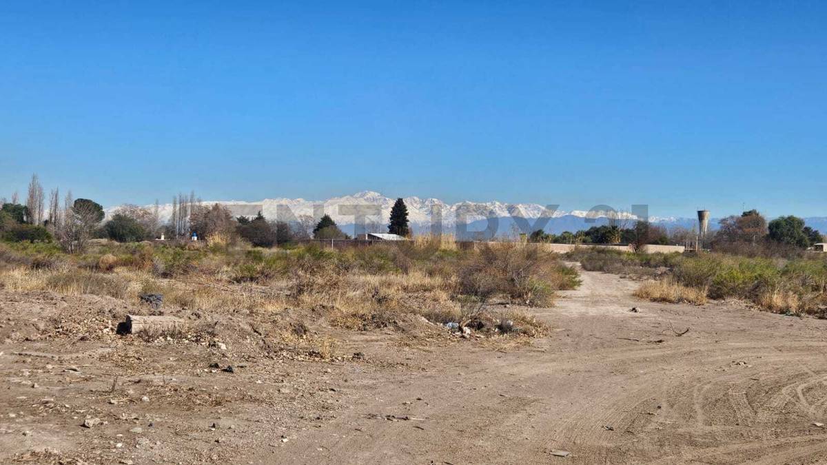 Terreno en Venta en San Martin, Mendoza