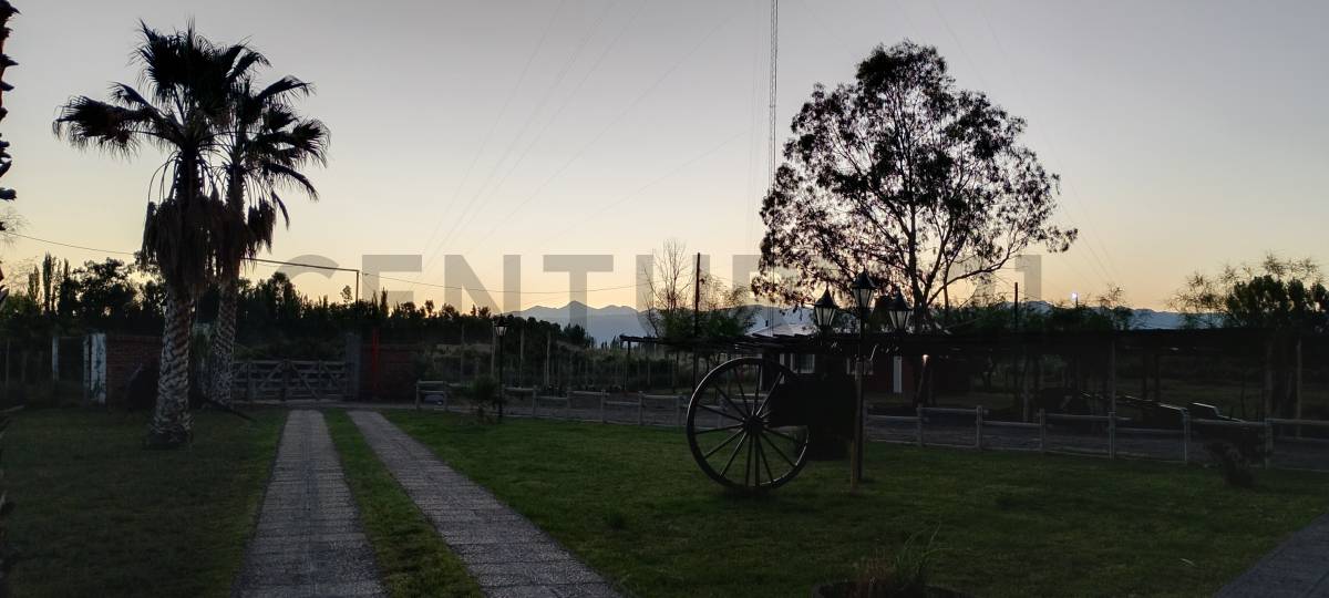 Casa Quinta en Venta en Lavalle, Mendoza