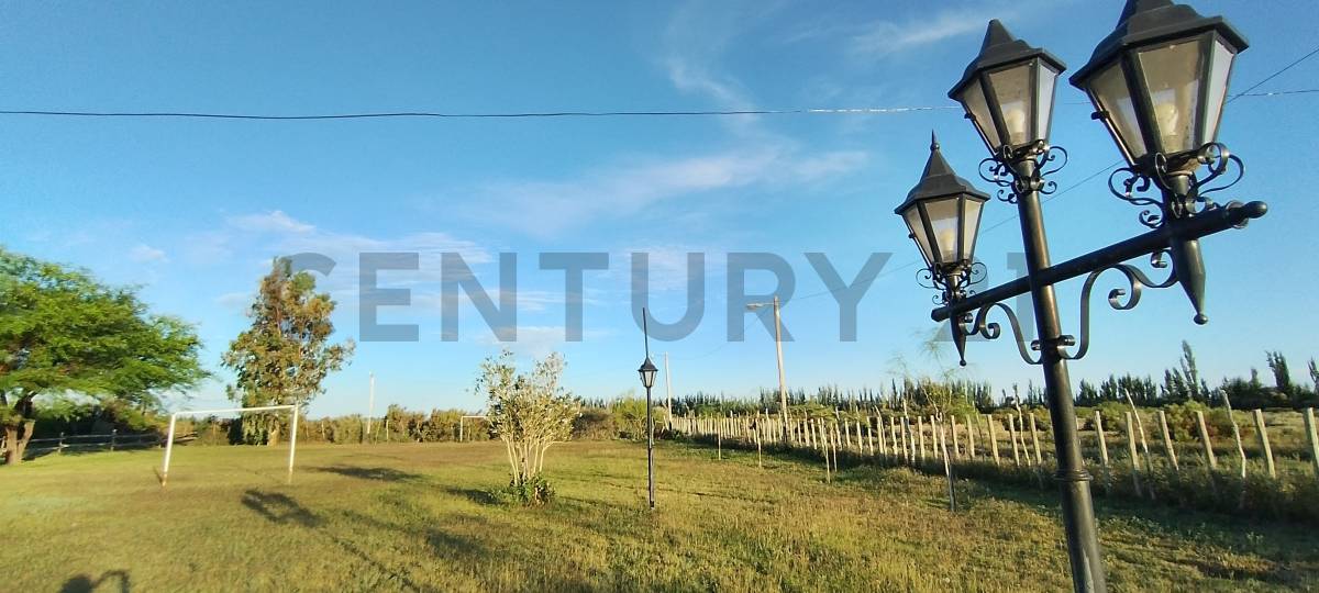 Casa Quinta en Venta en Lavalle, Mendoza