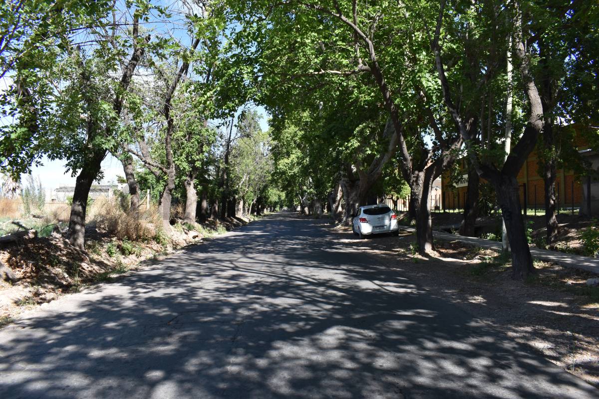 Terreno en Venta en Maipu, Mendoza