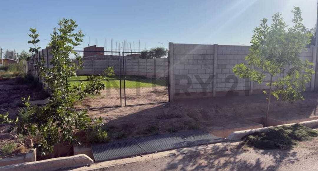 Terreno en Venta en Lujan de Cuyo, Mendoza