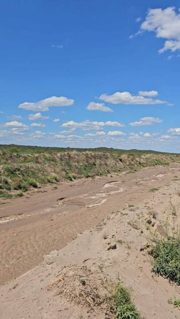 Campo en Venta en San Rafael, Mendoza