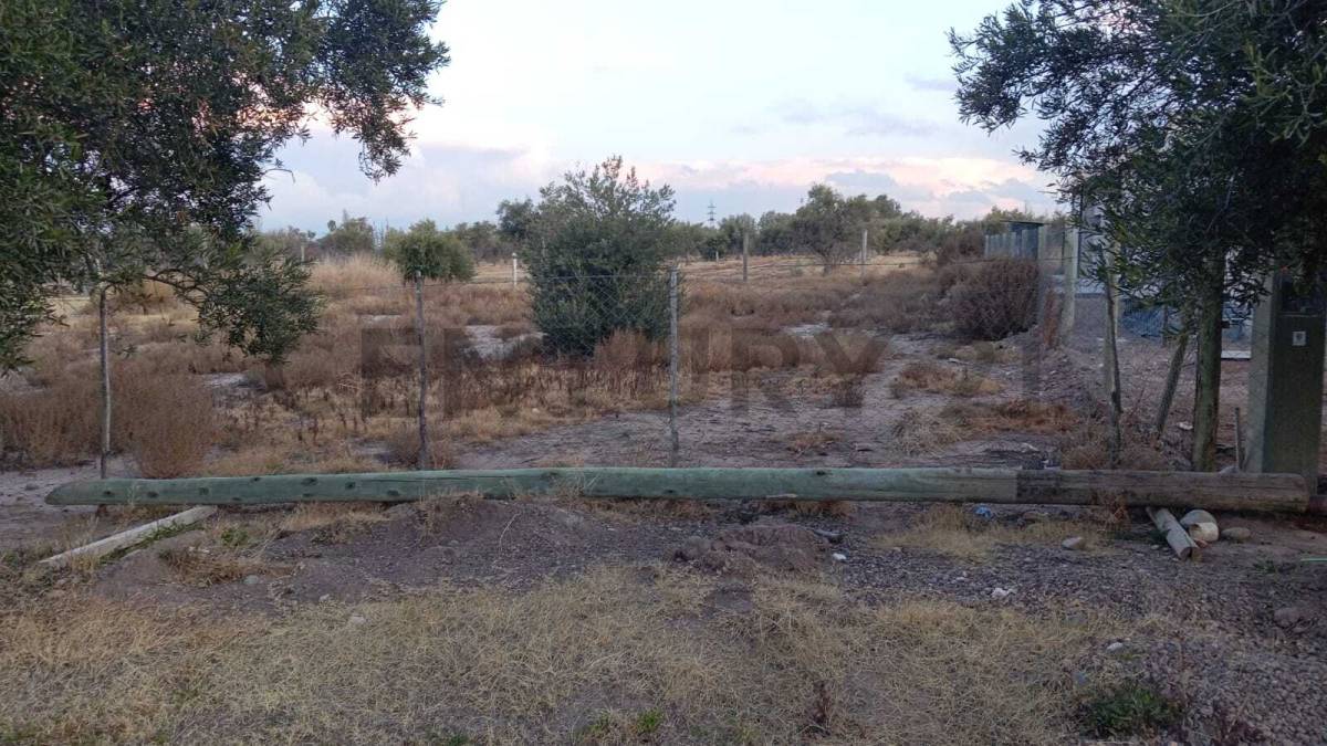 Terreno en Venta en Lujan de Cuyo, Mendoza