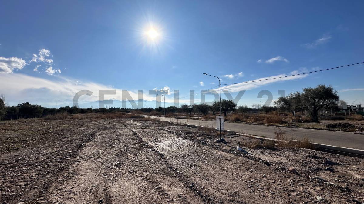 Terreno en Venta en Lujan de Cuyo, Mendoza