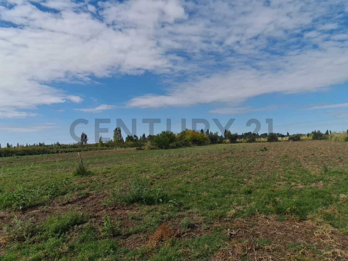 Terreno en Venta en San Rafael, Mendoza