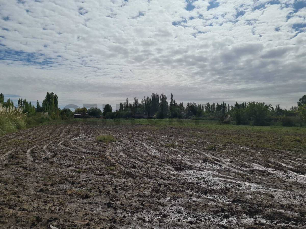 Terreno en Venta en San Rafael, Mendoza