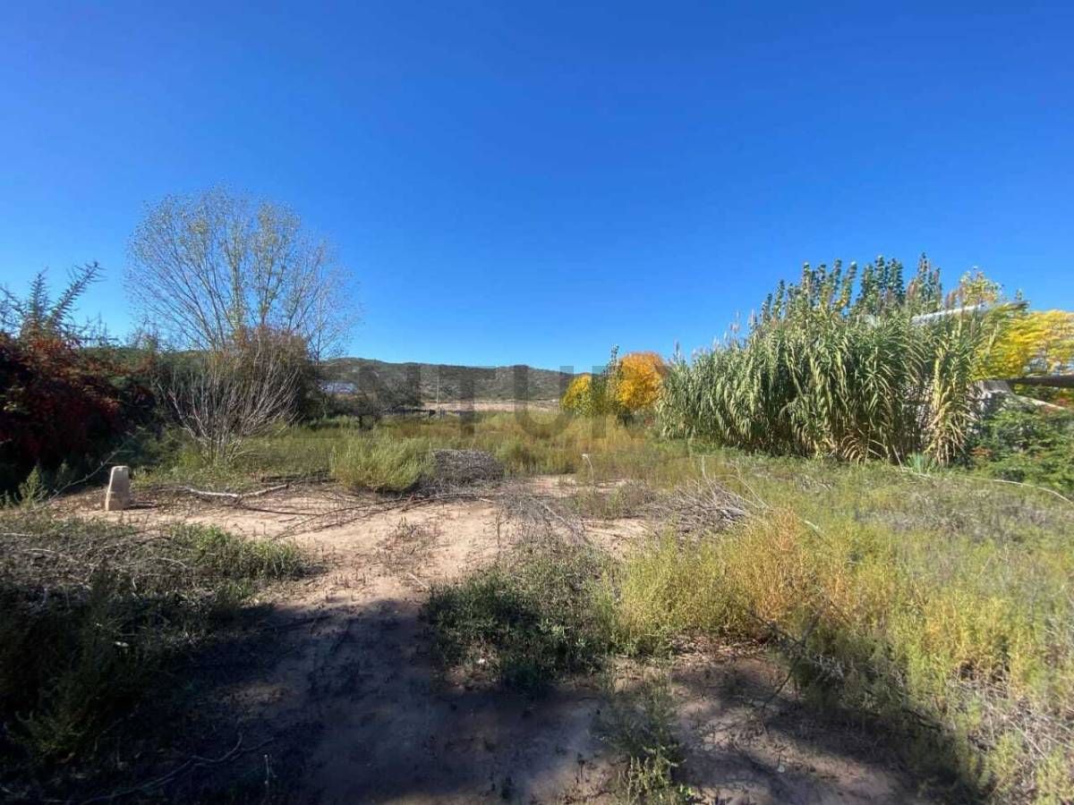 Terreno en Venta en Lujan de Cuyo, Mendoza