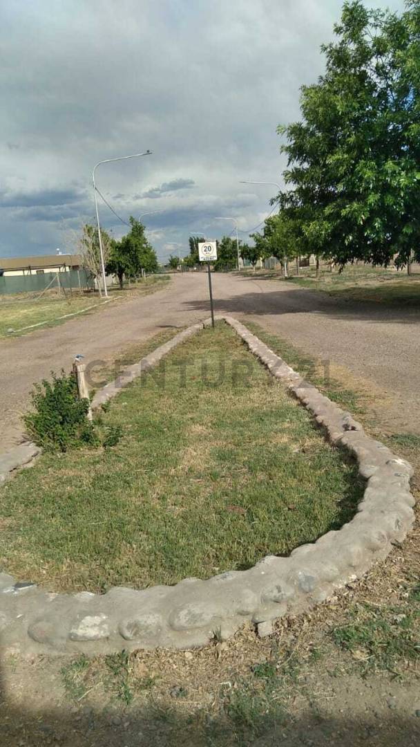Terreno en Venta en Maipu, Mendoza
