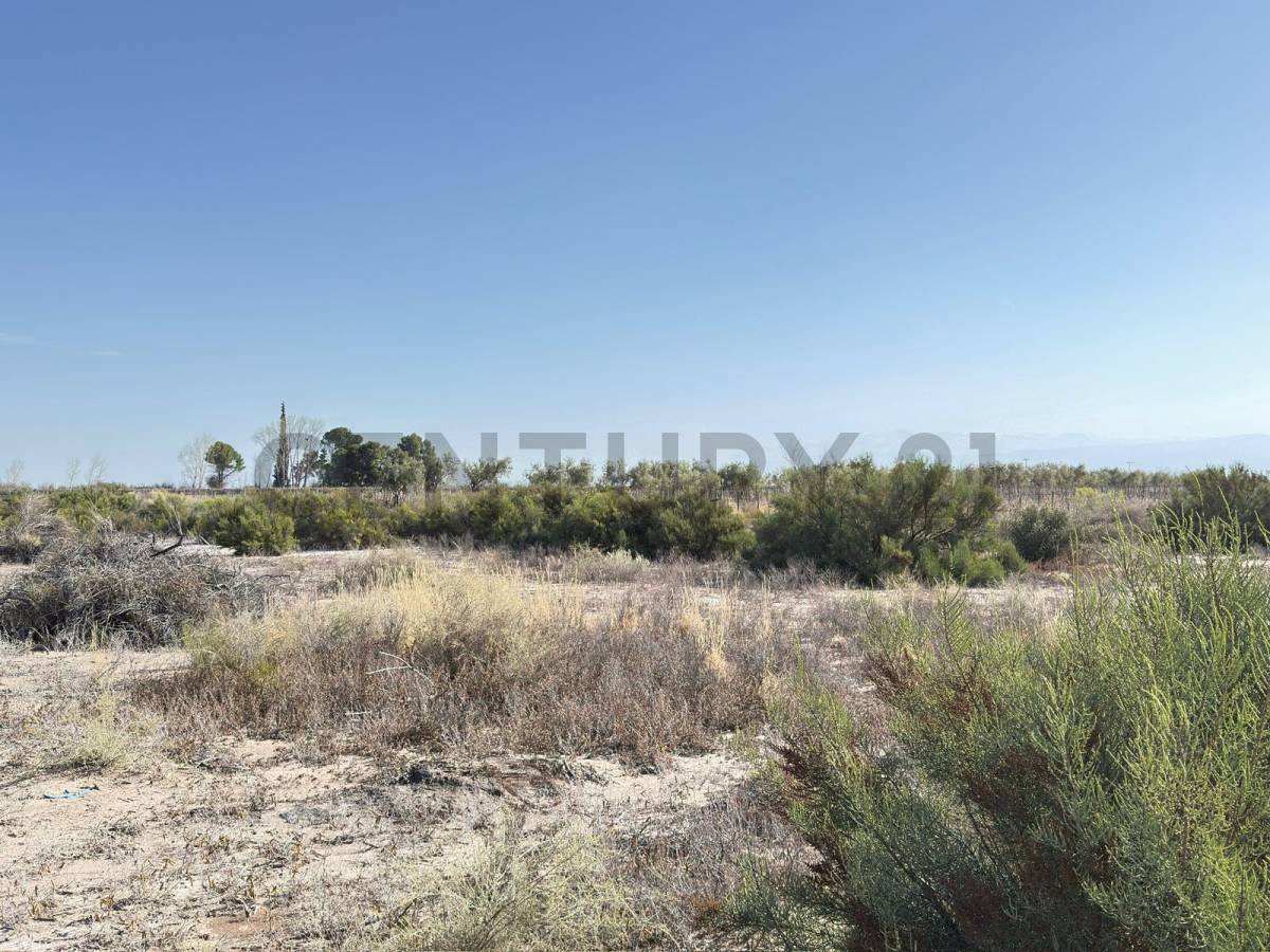 Terreno en Venta en Lavalle, Mendoza