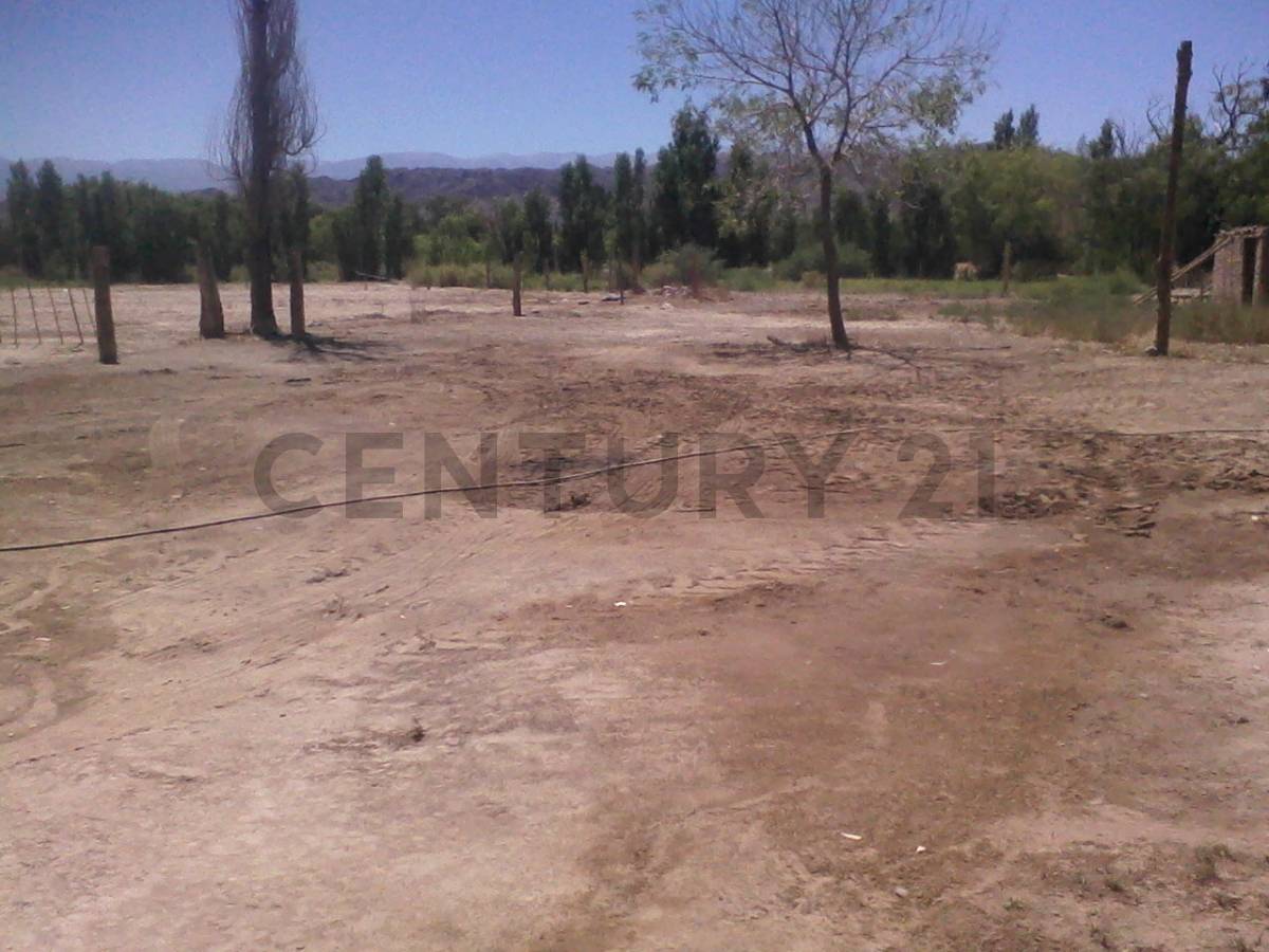 Casa en Venta en Calingasta, San Juan