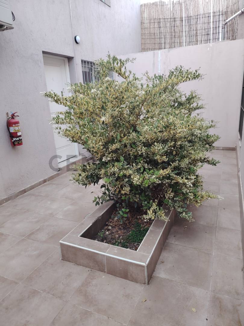 Departamento en Alquiler en Godoy Cruz, Mendoza