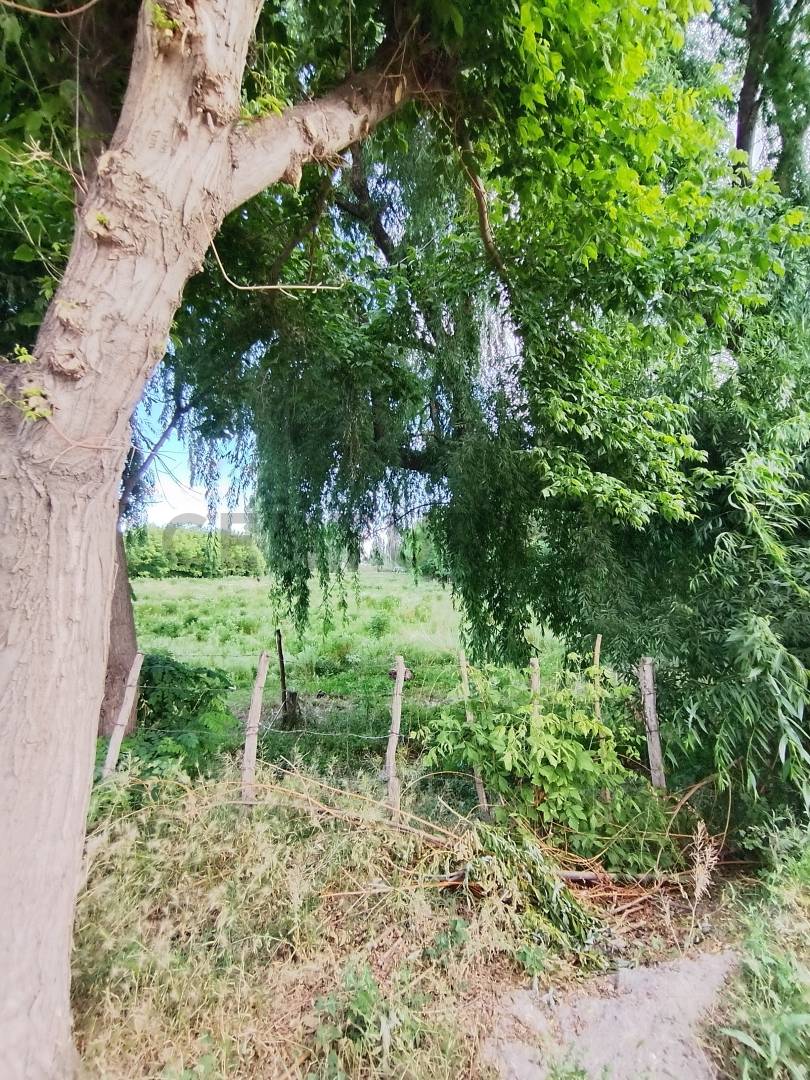 Terreno en Venta en Tupungato, Mendoza