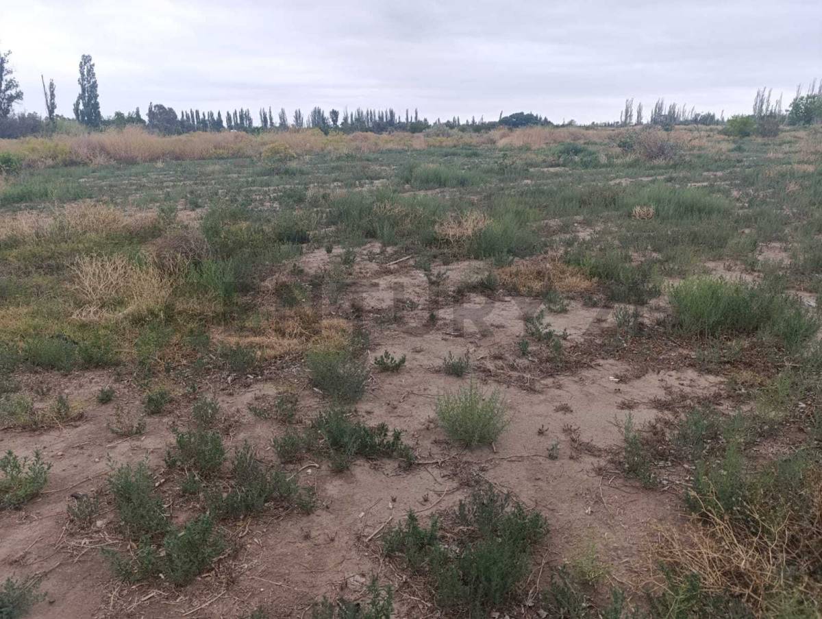 Terreno en Venta en San Martin, Mendoza