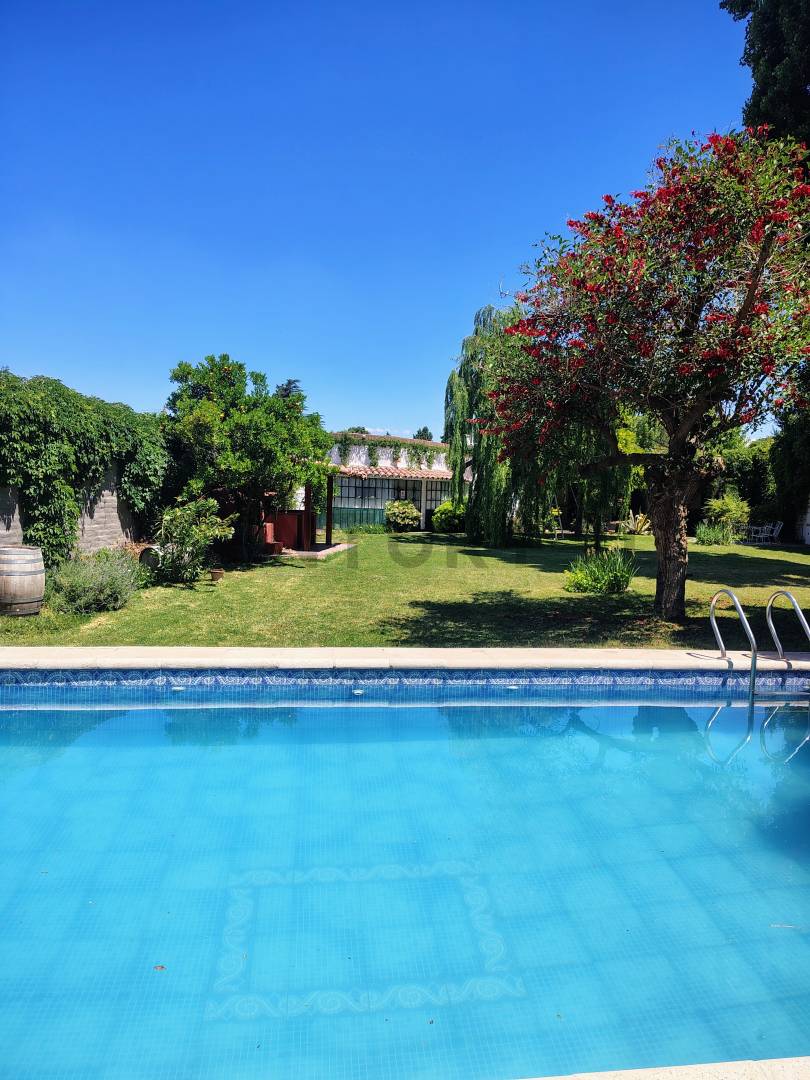 Casa en Alquiler en Lujan de Cuyo, Mendoza