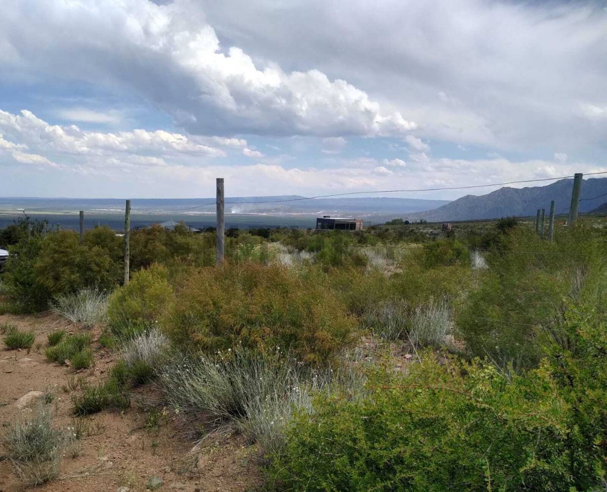 Terreno en Venta en Lujan de Cuyo, Mendoza