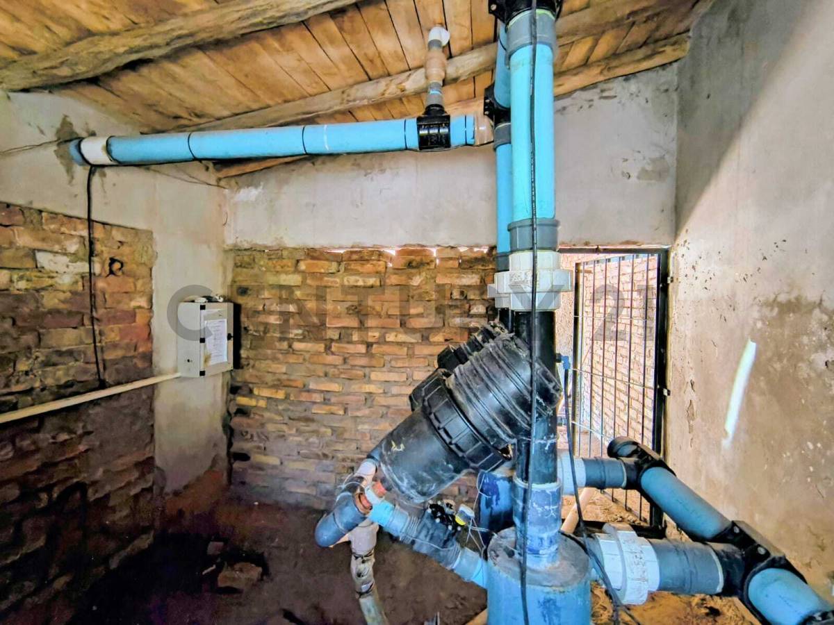 Campo en Venta en San Martin, Mendoza