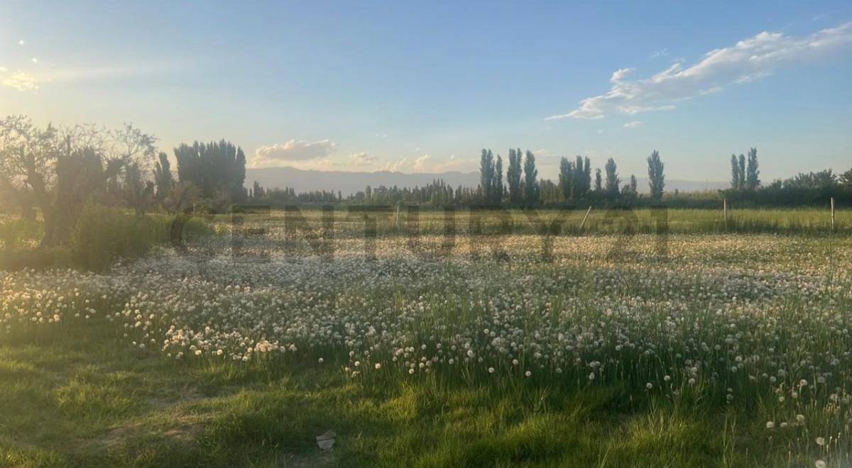 Casa en Venta en Guaymallen, Mendoza