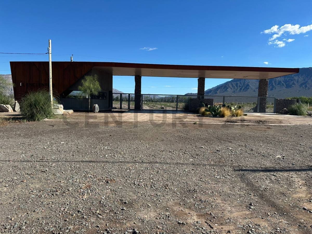 Terreno en Venta en Zonda, San Juan