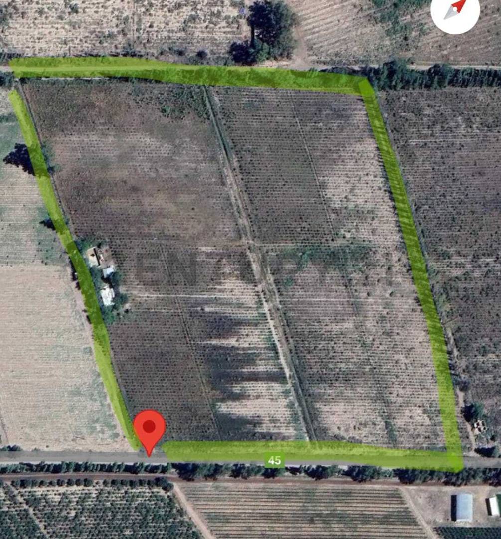 Campo en Venta en San Martin, Mendoza