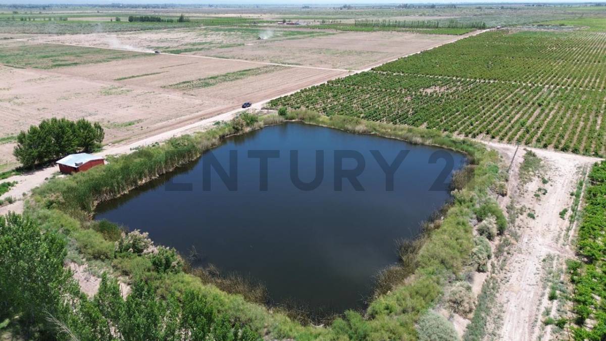 Campo en Venta en Lavalle, Mendoza