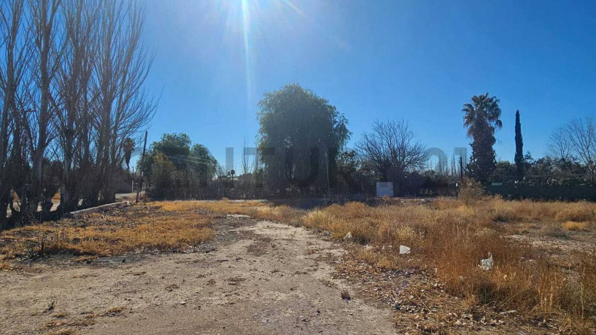 Terreno en Venta en San Martin, Mendoza