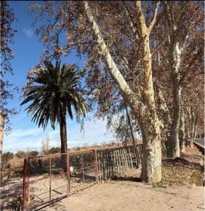 Terreno en Venta en Las Heras, Mendoza