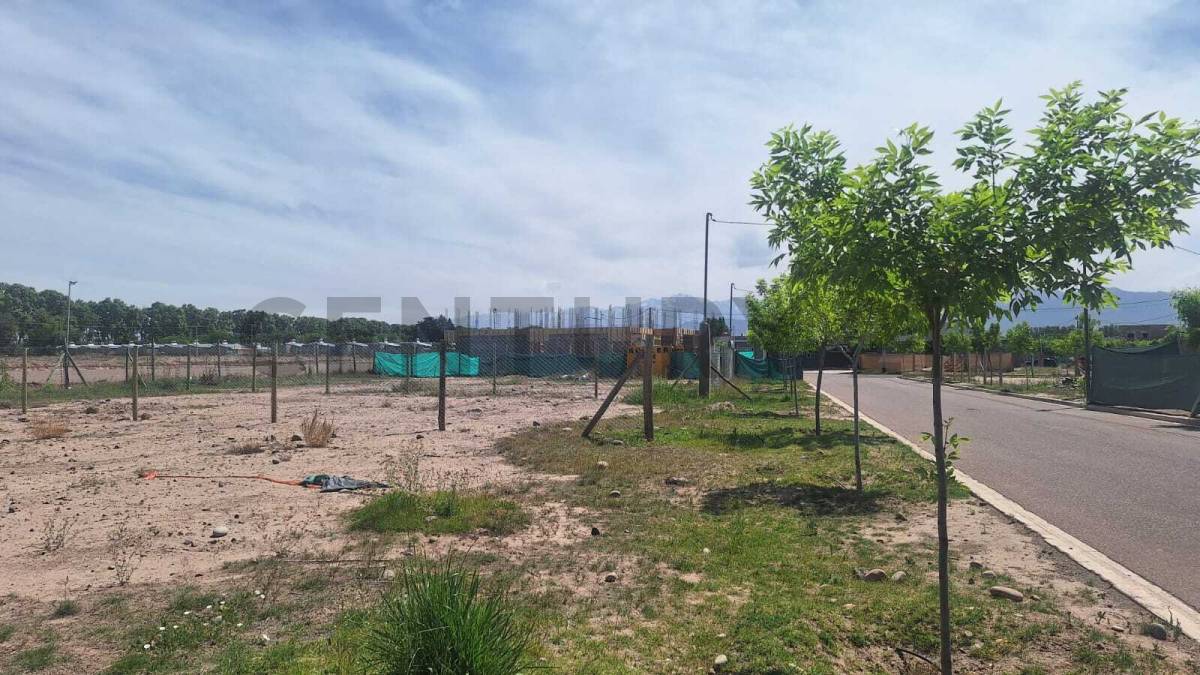 Terreno en Venta en Lujan de Cuyo, Mendoza