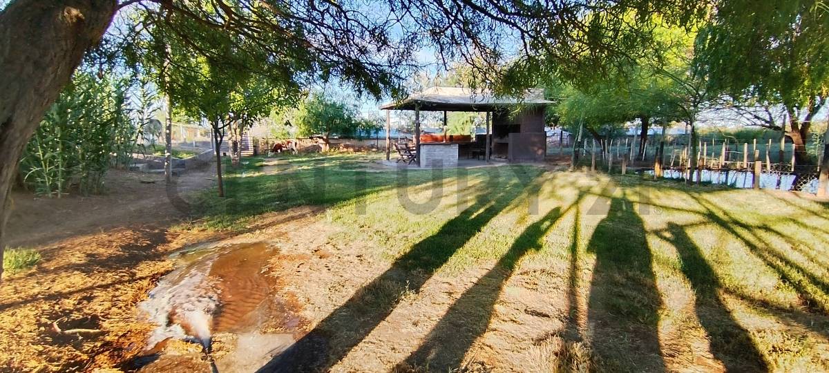 Casa Quinta en Venta en Lavalle, Mendoza