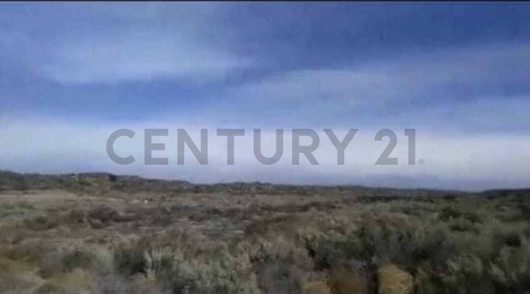 Terreno en Venta en Lujan de Cuyo, Mendoza