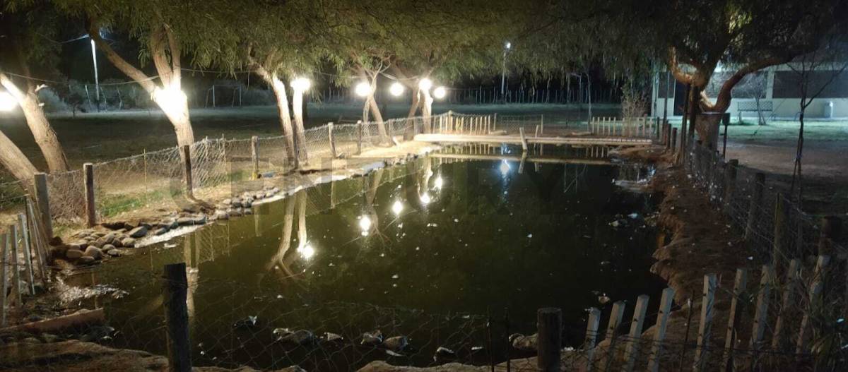 Casa Quinta en Venta en Lavalle, Mendoza