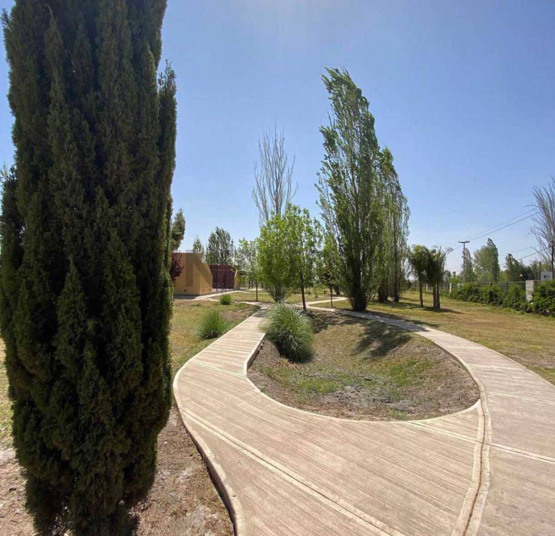 Terreno en Venta en Maipu, Mendoza