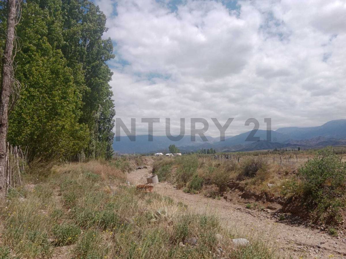 Campo en Venta en Tunuyan, Mendoza
