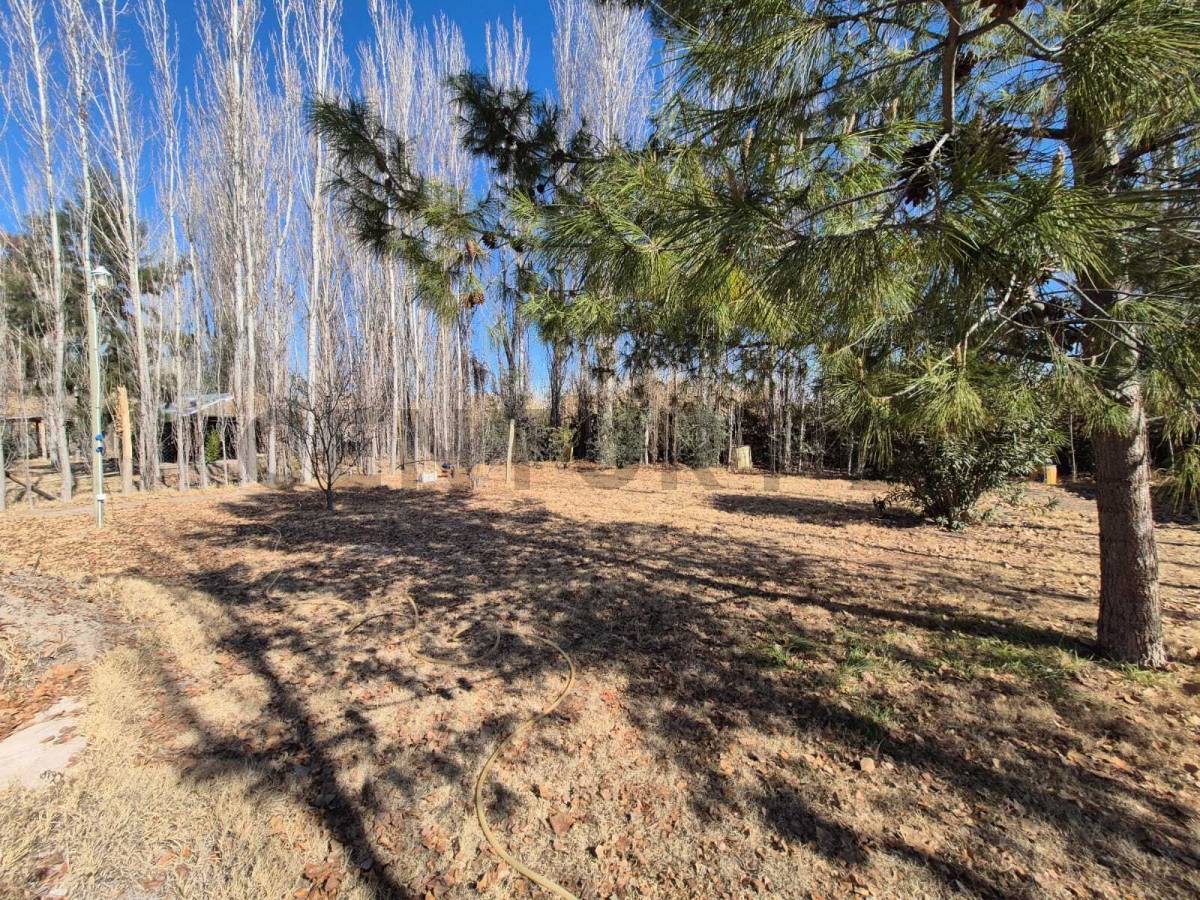 Terreno en Venta en Maipu, Mendoza