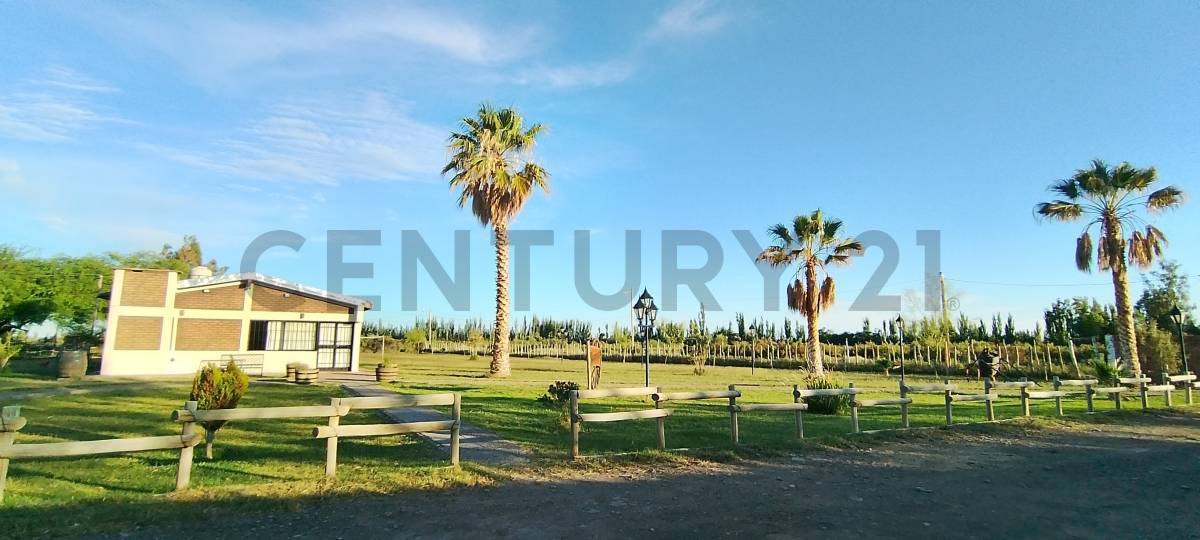 Casa Quinta en Venta en Lavalle, Mendoza