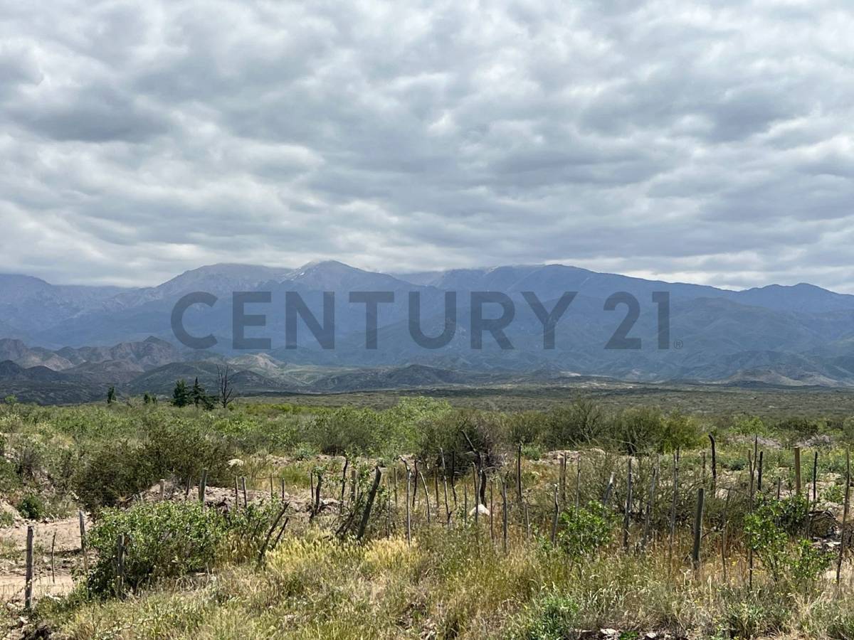 Campo en Venta en Tunuyan, Mendoza
