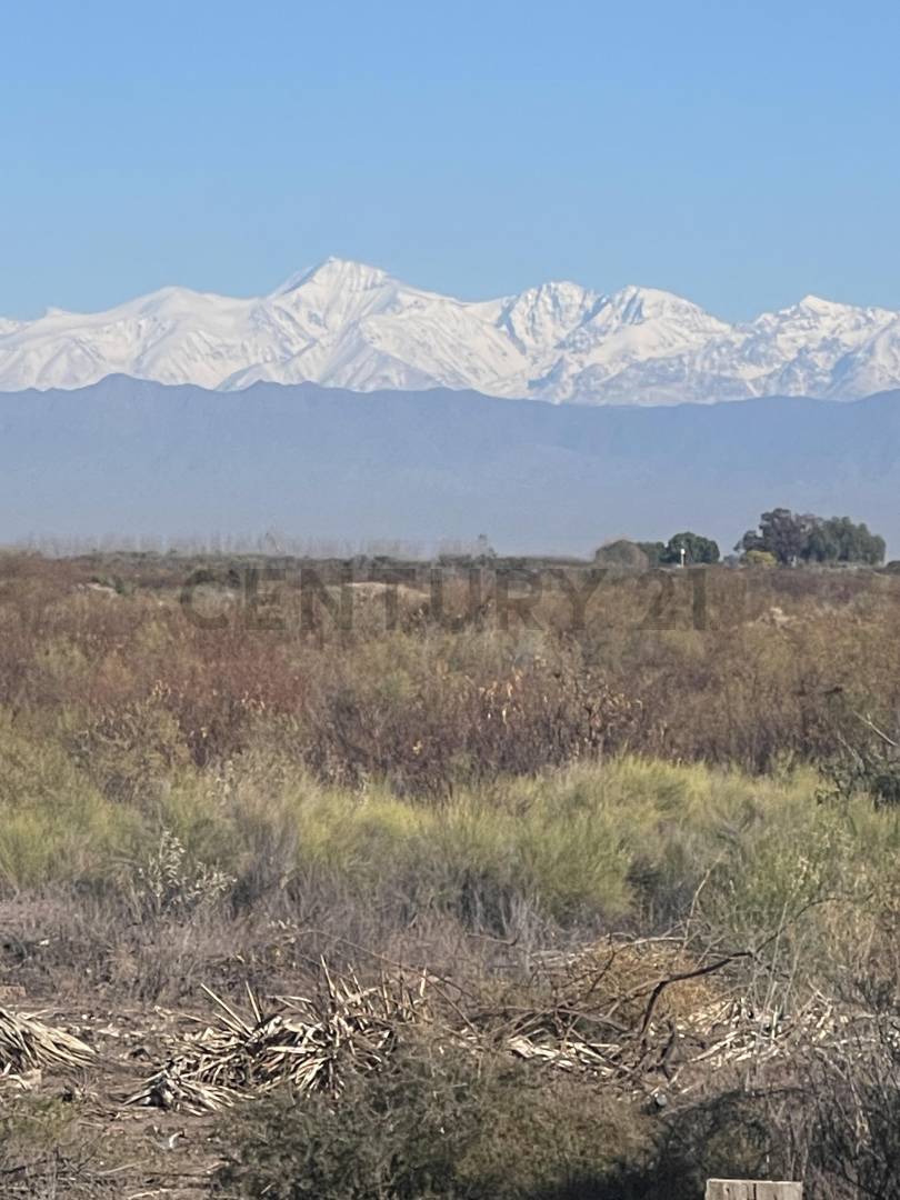 Terreno en Venta en Lavalle, Mendoza