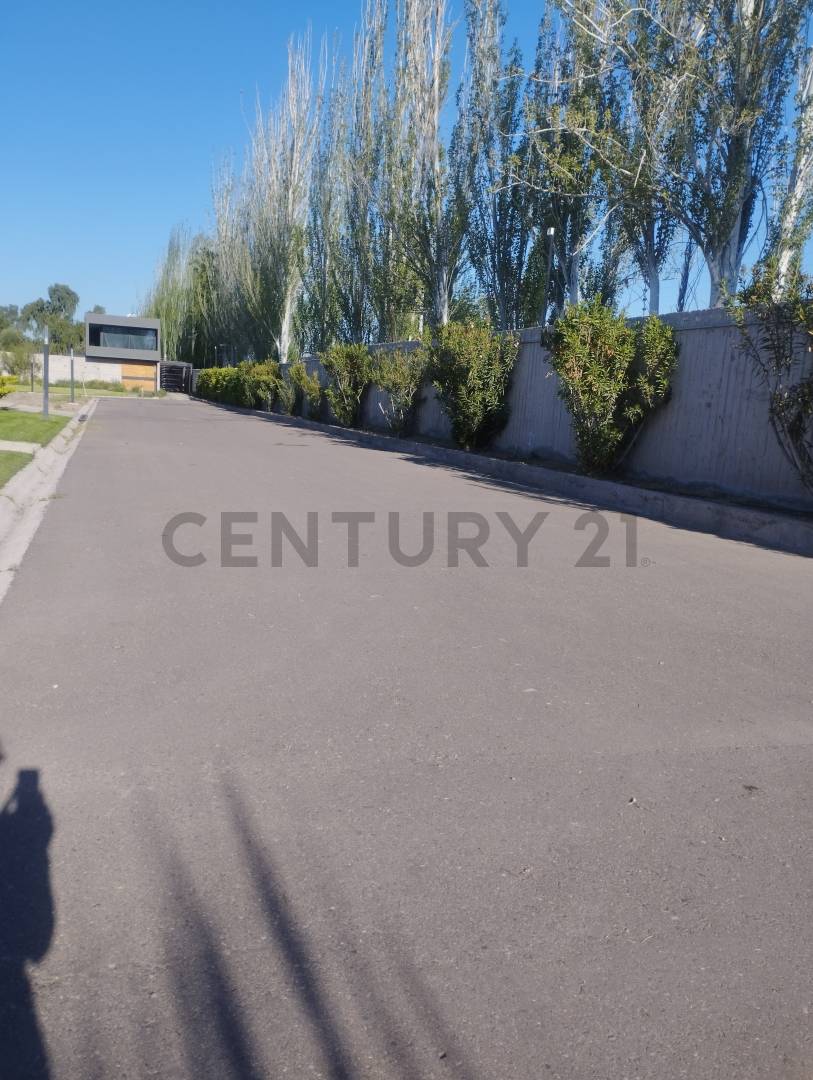 Terreno en Venta en Maipu, Mendoza