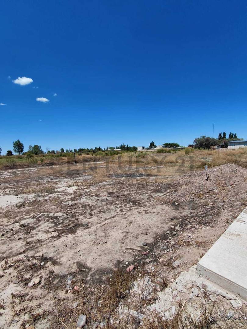 Terreno en Venta en Rivadavia, Mendoza
