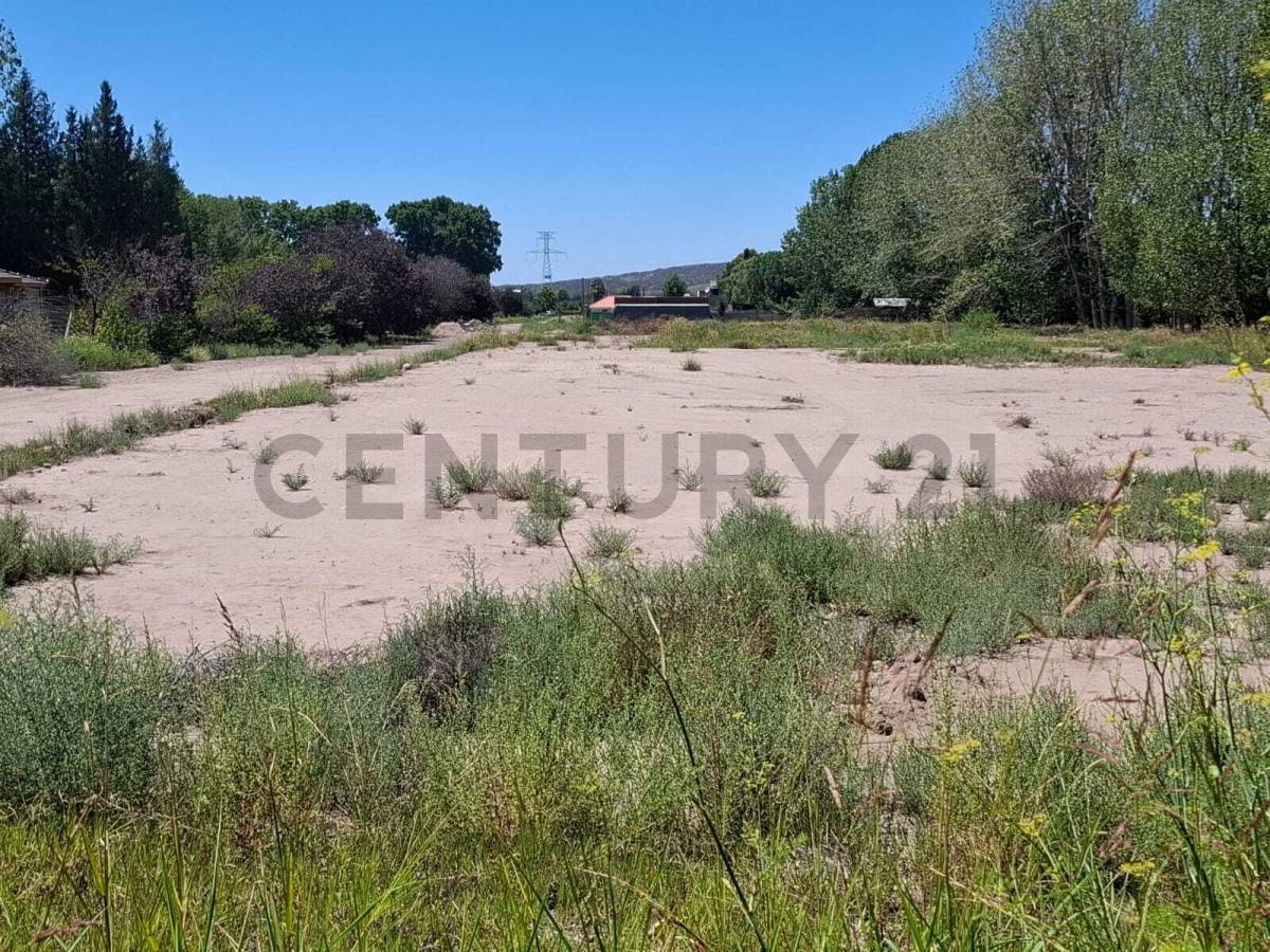 Terreno en Alquiler en Lujan de Cuyo, Mendoza